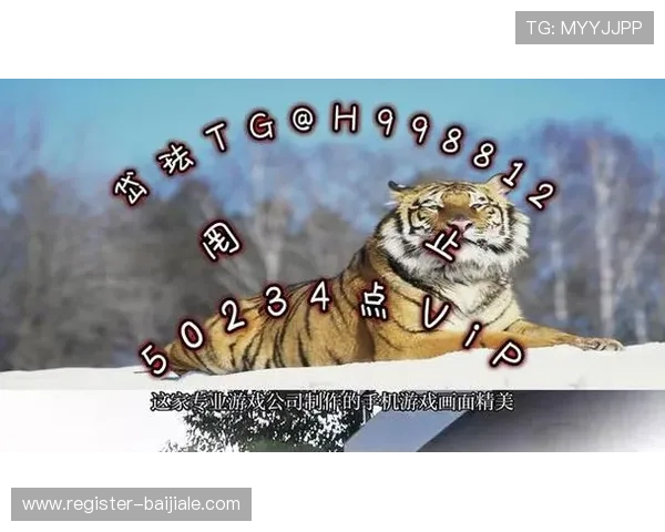 掌握AG捕鱼会员登录技巧，提升游戏体验与账号安全