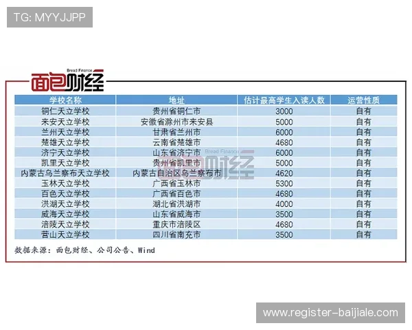 百家樂對子投注技巧全面解析，教你如何在游戏中稳步提升盈利水平