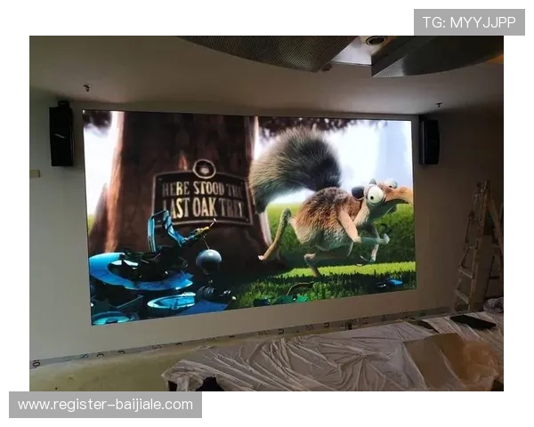 ds视讯官方官站安全可靠，保障玩家个人信息与资金安全的最佳选择