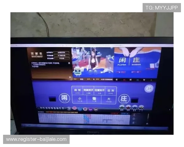 深入解析百家乐小游戏的规则与玩法，让你成为赌场中的稳赢高手